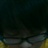葵… 2400839