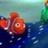 nemo 572841