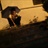 Sean Andy 1678928