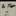 叉烧烧卖 1198937
