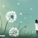 蒲公英 1648095