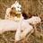 Daisy 1266953