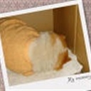 damgal 756957