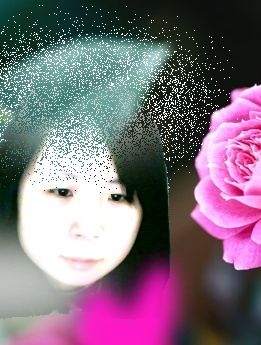 ling 1009043