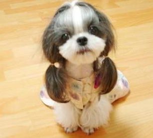 sweetieb 749046