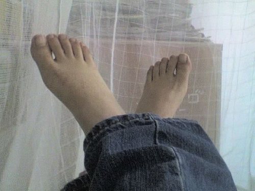 呆呆盖 601168