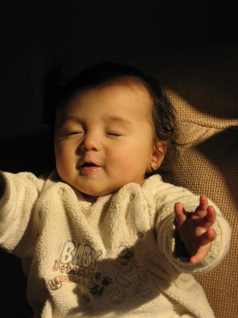 木木 201172