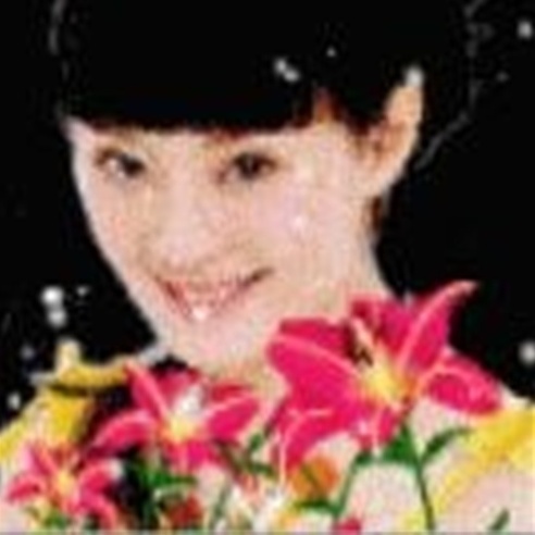 友情链接
