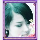 友情链接