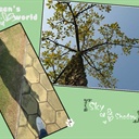 Green 931234
