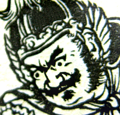 Napoleon 854126
