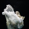 Zena Holloway