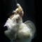 Zena Holloway