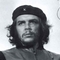 CHE100902211