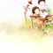 14919f44d041608db2b7dcb5