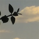 canyon 1085439
