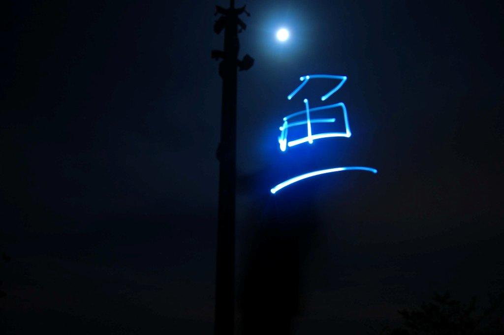 鱼仔 1118149