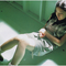 060511saaya019