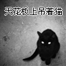 天花板上吊着猫 1123640