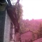 PIC00029