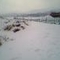 我家门前马路上的雪