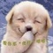 u=2713933436,607621138&fm=0&gp=30