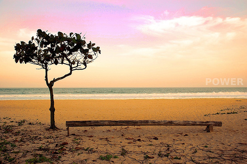 somewhere 895867