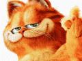 我是熊猫 1053950