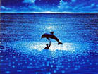 碧海蓝天 101999