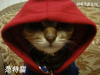 一世枭啸 1116237