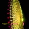 head_5839k172