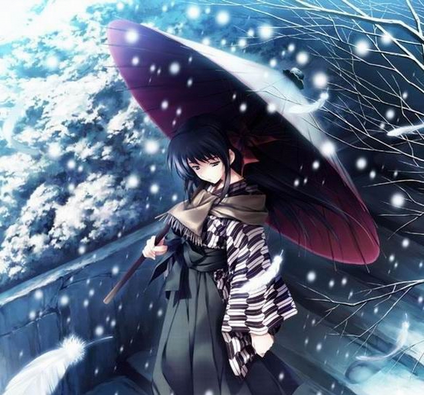 飘雪无痕 1082258