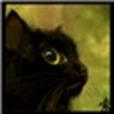索猫 426040