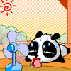 豆子猫 720404