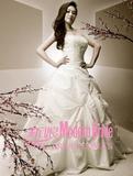 李丽珍《新娘》婚纱照