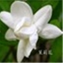 于是以后 130439