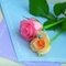 鲜花02