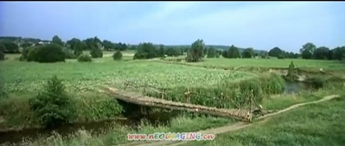 野阳 1082470