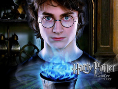 harry 1042488