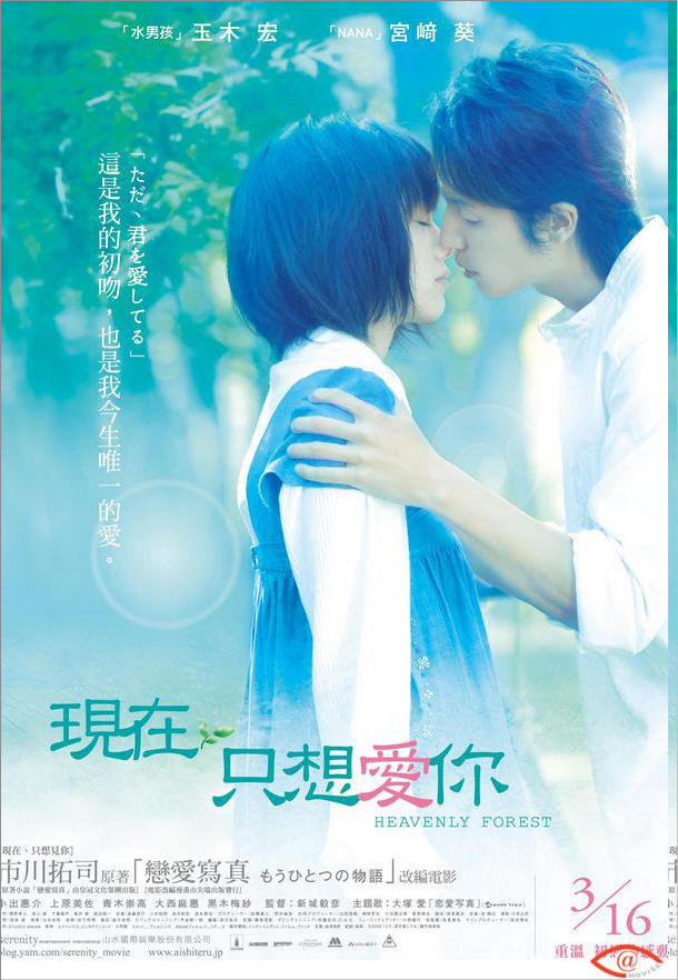 水叶 732497