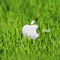 Apple4