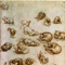 leonardo_cats