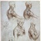 leonardo_muscles