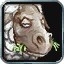 Dominic 572541