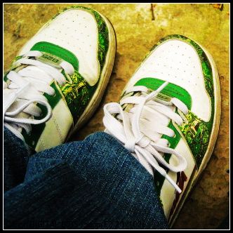 bluemaple 760567