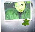 haohao 976618