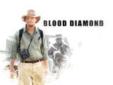 blood4_1280x960