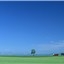 想想_ 442682