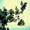 71a4236ad40cf810490ce3c8409f1fdd896c90fd