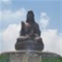 川江耗子 104780